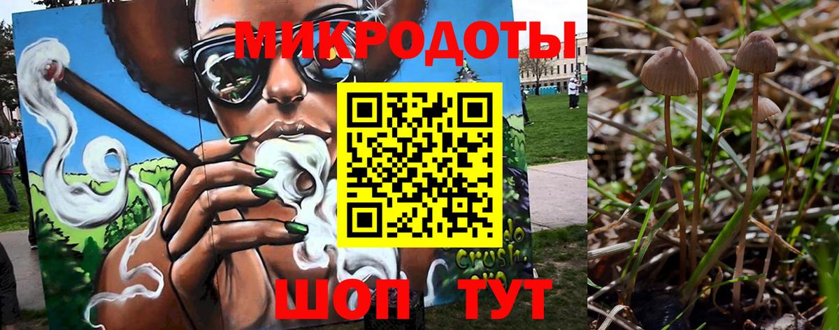 Галлюциногенные грибы мицелий  Вход с VPN  где продают наркотики  Волгоград 