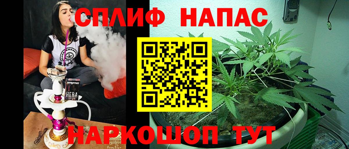 Волгоград  Марихуана AK-47  Шишки марихуана планчик  Шишки марихуана VHQ  Вход с VPN 